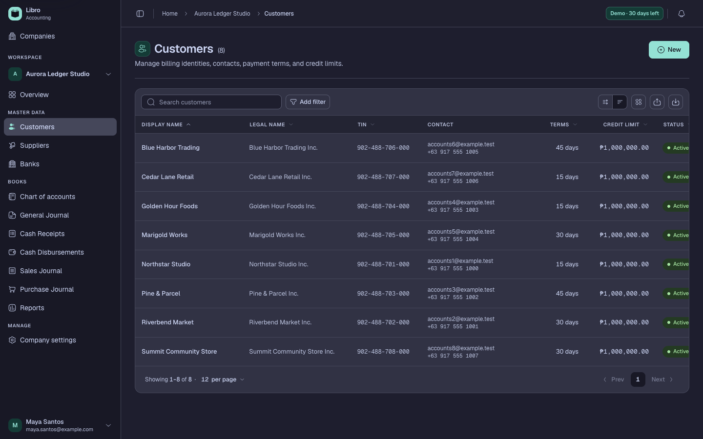 Synthetic customer records in dark mode