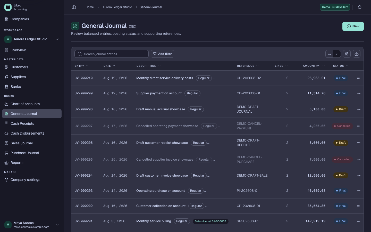 Synthetic general journal in dark mode